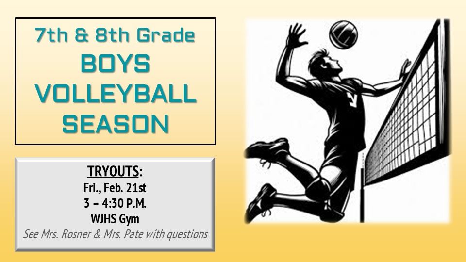 V-ball V-ball